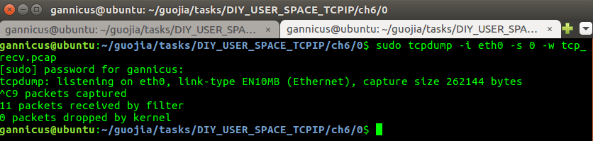 DIY TCP/IP tcpdump sample