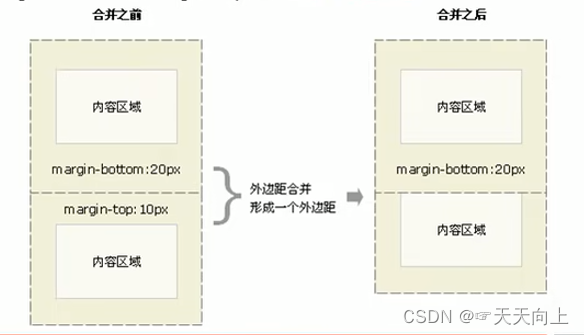 css外边距的合并