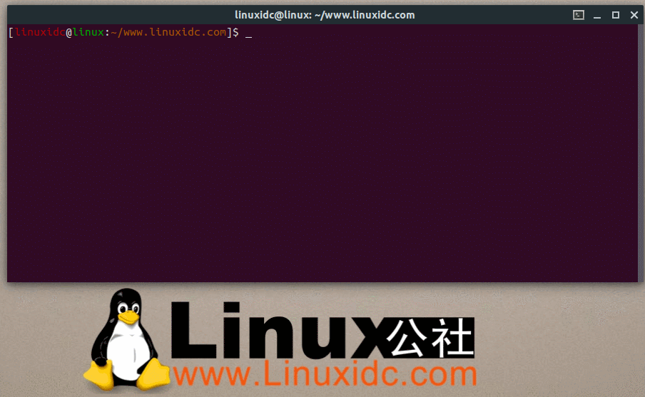 linux命令行启动新终端,12个让您震撼的Linux终端命令-CSDN博客