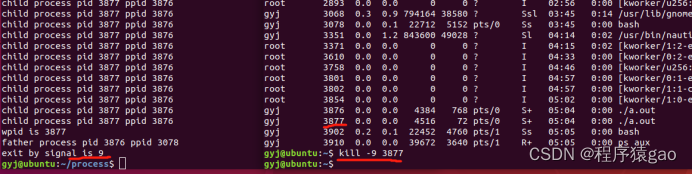 【Linux篇】进程回收：wait&waitpid函数_linux while (waitpid(-1, &status, wnohang ...