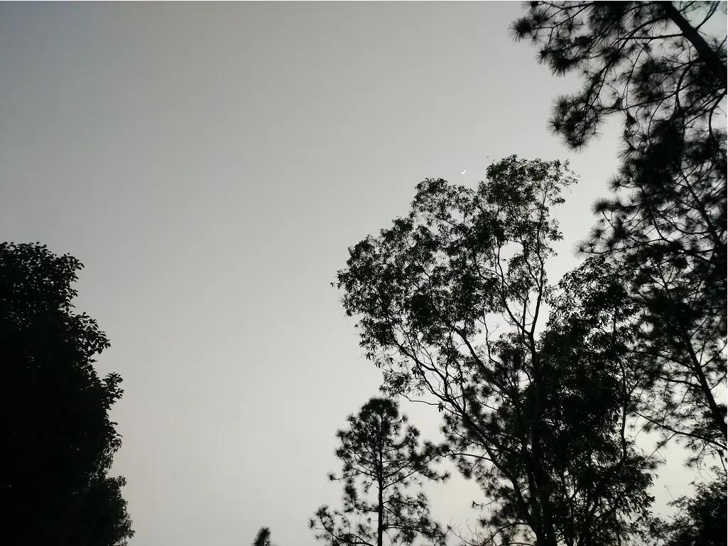 9125154-f802db960a99a13f.png