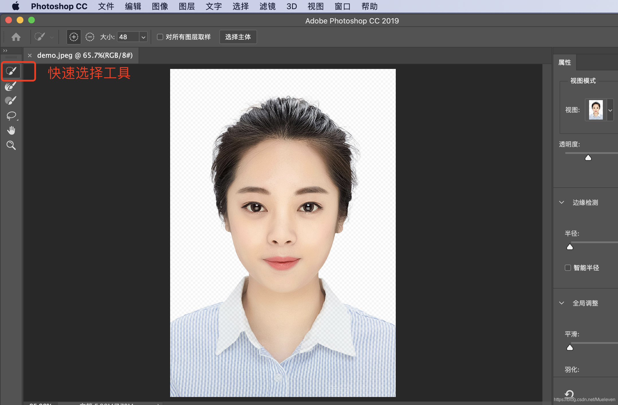 如何使用PS更换证件照背景色_ps2019如何换背景颜色-CSDN博客