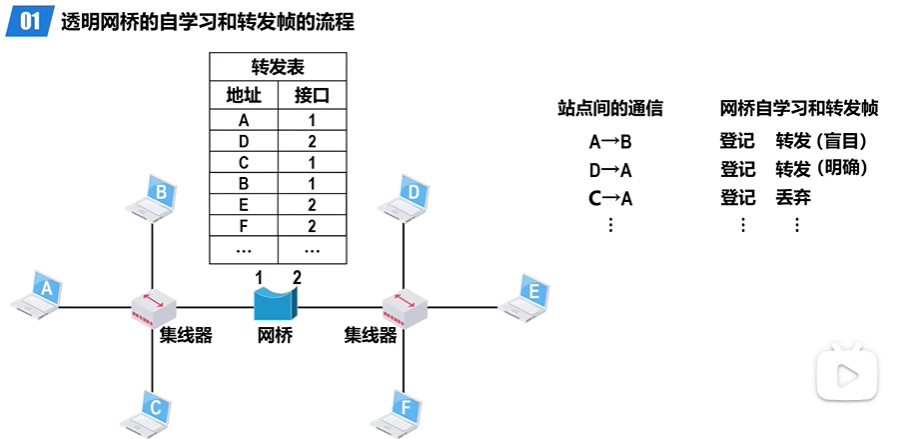 image-20240222150300337