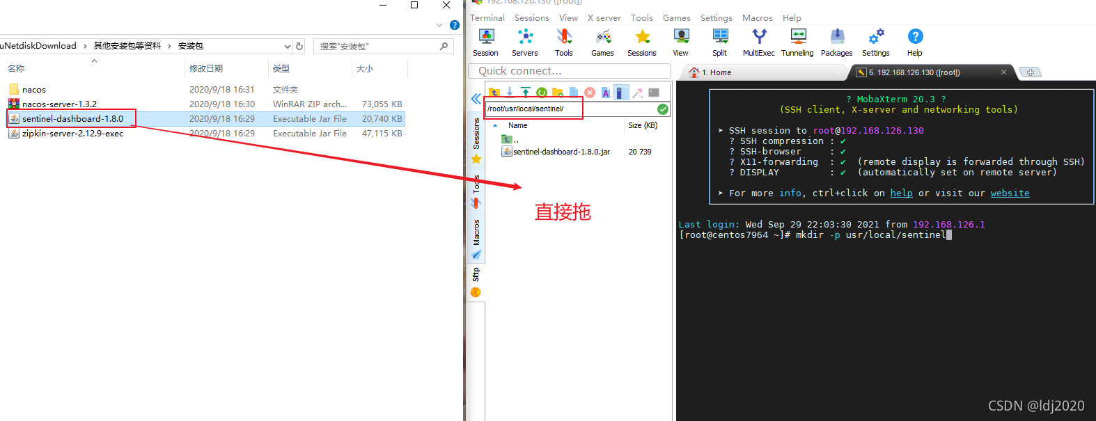 Linux环境下虚拟机安装Sentinel最新教程（2种方式）_linux 安装sentinel-CSDN博客