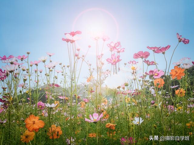 340480f87f757e27a1b9ad5038f5ca66.png