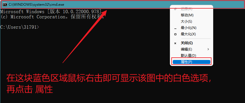 image-20221011225150880
