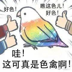 1c5e43d3c7d95f197f2d74210e34bfa2.png