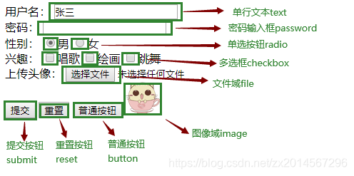 效果展示