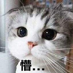 67c45a64960eb58b2b204e1426b93c42.png