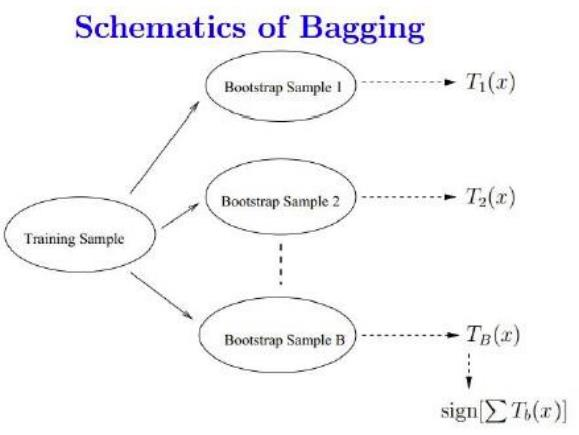 image-20220719152007513