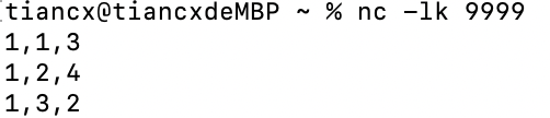 image-20240421181739473