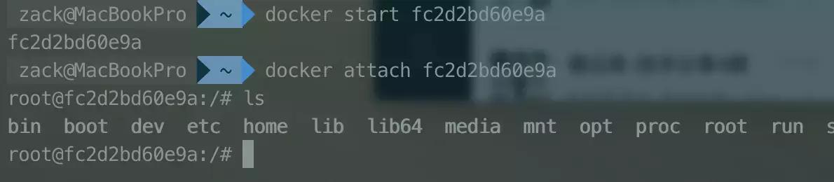 都9102年了，还不会Docker？10分钟带你从入门操作到实战上手