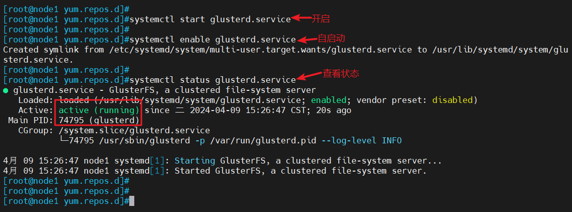 image-20240409152902895