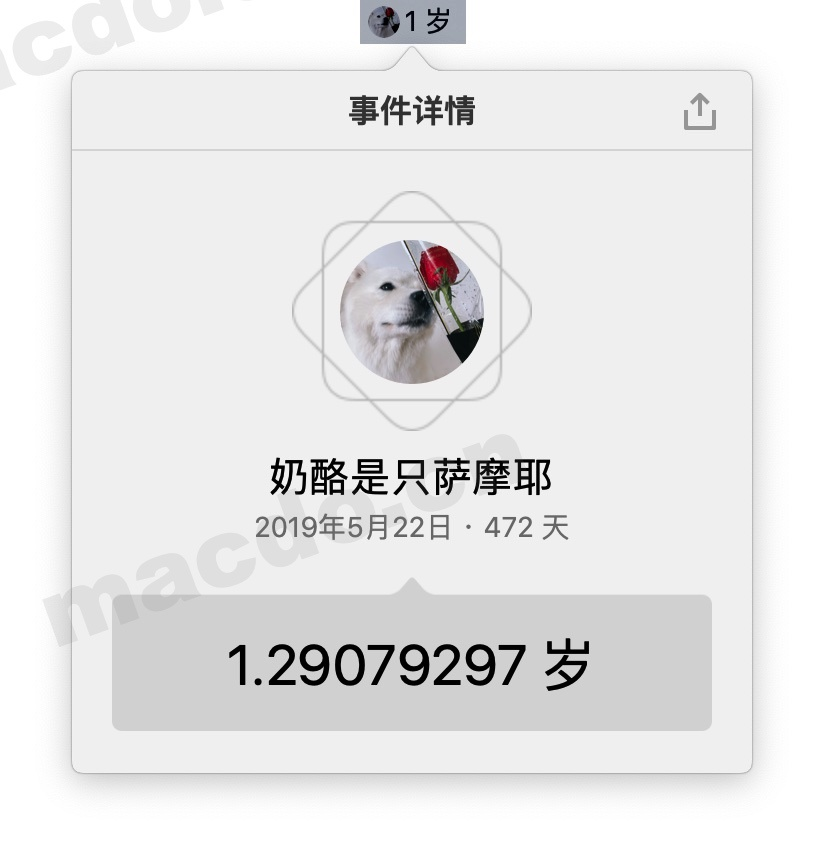 MacBook上好用的纪念日倒数工具「Moment」