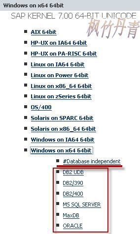 SAP <wbr>Kernel的更新