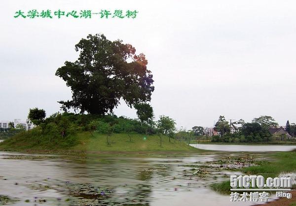 clip_p_w_picpath016