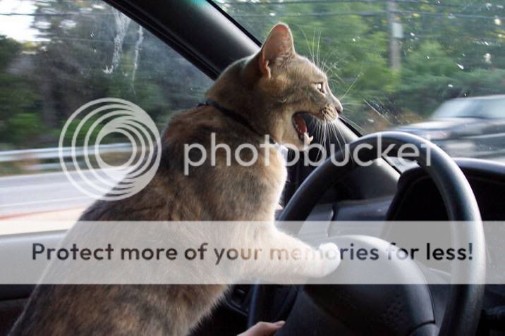 点击在新窗口中查看该图片