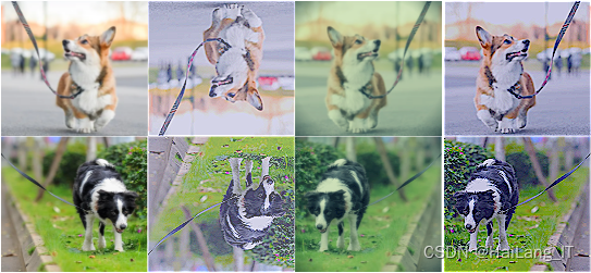 毕业设计:基于深度学习的遛狗牵绳检测系统 人工智能 python