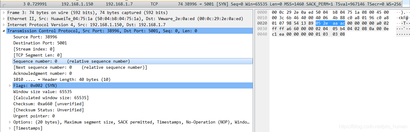 DIY TCP/IP TCP SYN Sequence