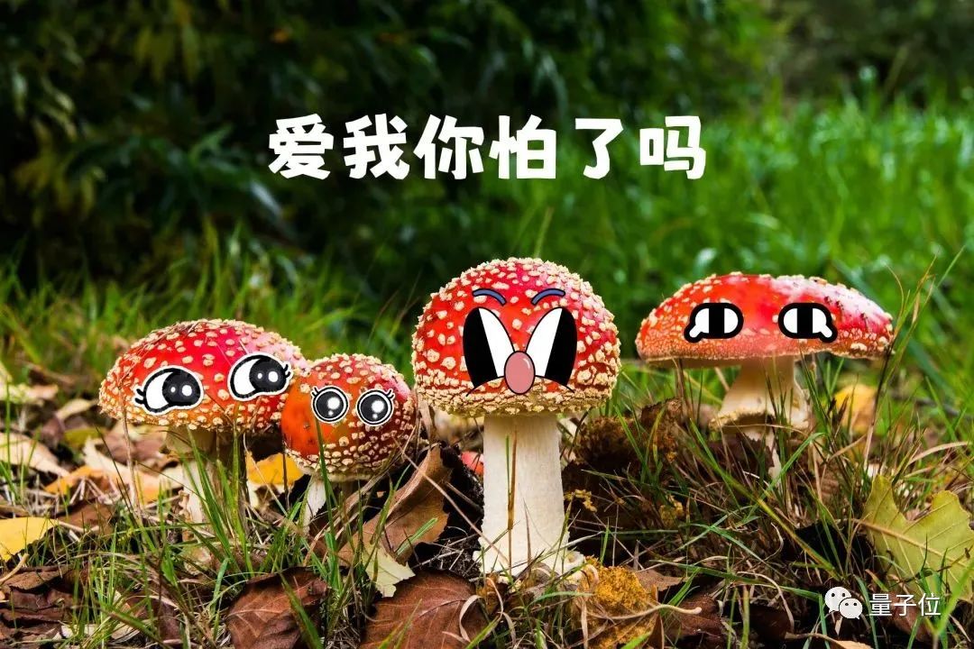 72e98bdd7b71ea7767bd085e863e7595.jpeg
