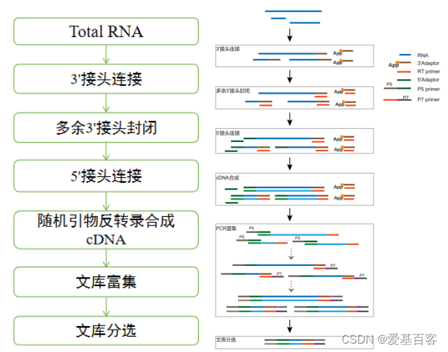 RNA结合蛋白研究技术:RIP-seq实验分析流程及案例分享_rip-seq数据分析-CSDN博客