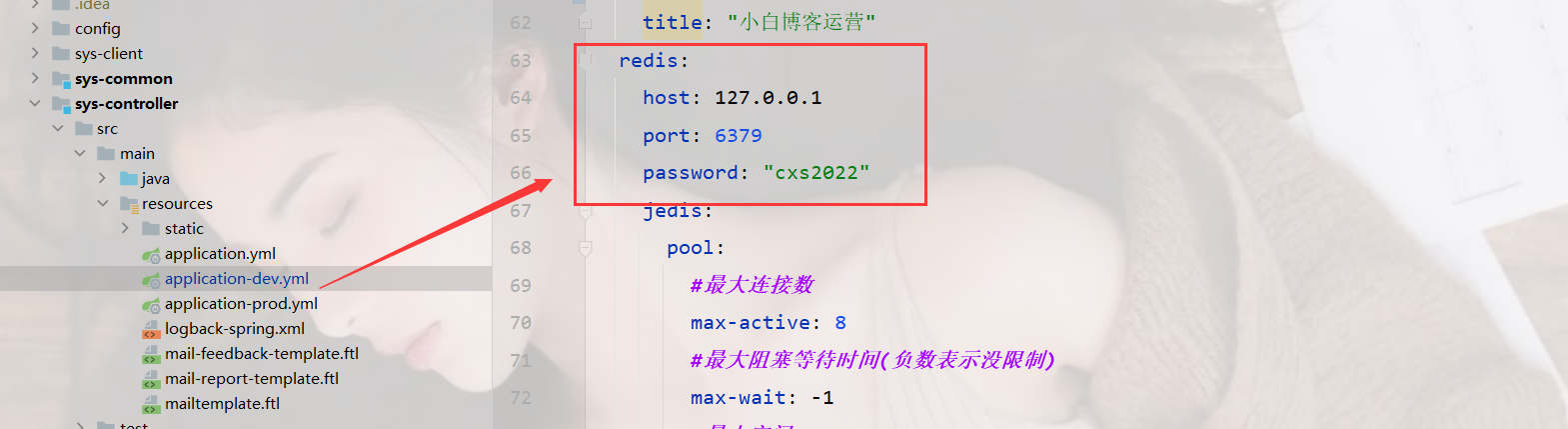image-20240226155817814
