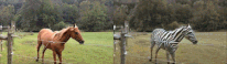 7c1917ff5f42afee757e2f9137eb9e8b.gif