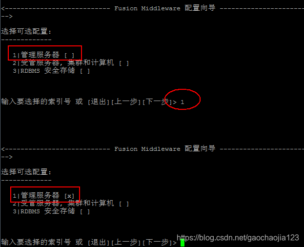 图9：配置为管理服务器