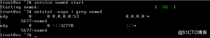 linux DNS域名解析服务