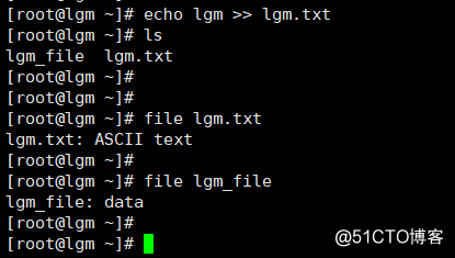 Linux进阶第三天