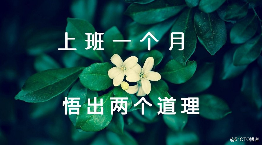 新公司上班一个月，我悟出了两个道理，不得不服
