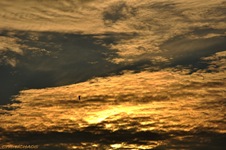 120223b2_DSC_0227_341424