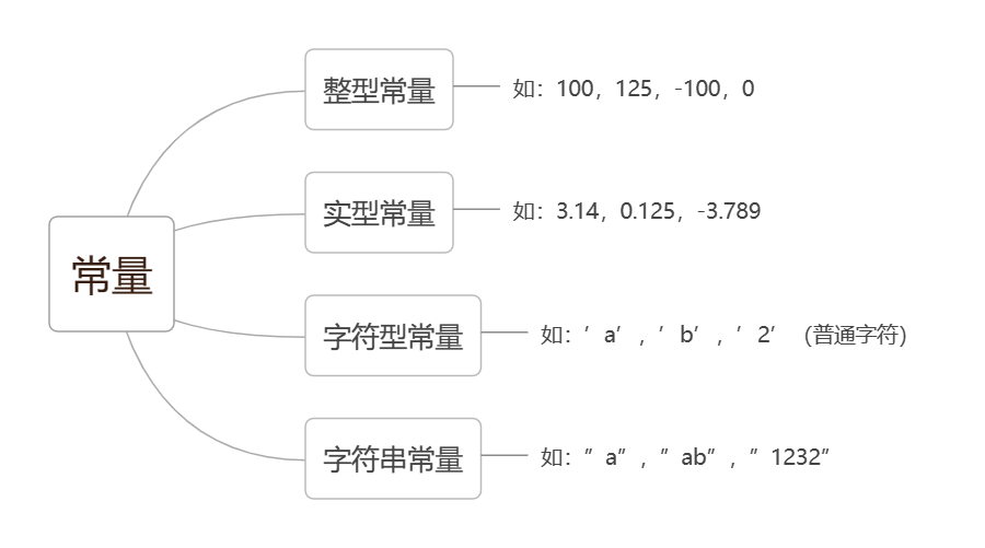 编程中的常量与符号常量解析-CSDN博客