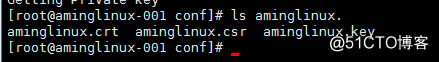 nginx负载均衡，ssl原理，生成ssl秘钥对，nginx配置ssl