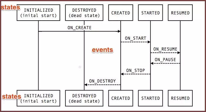 Lifecycle