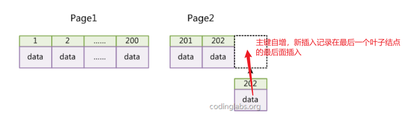 image-20210824141635529