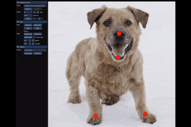 32fd85cc55513385039bb20f1df1a360.gif