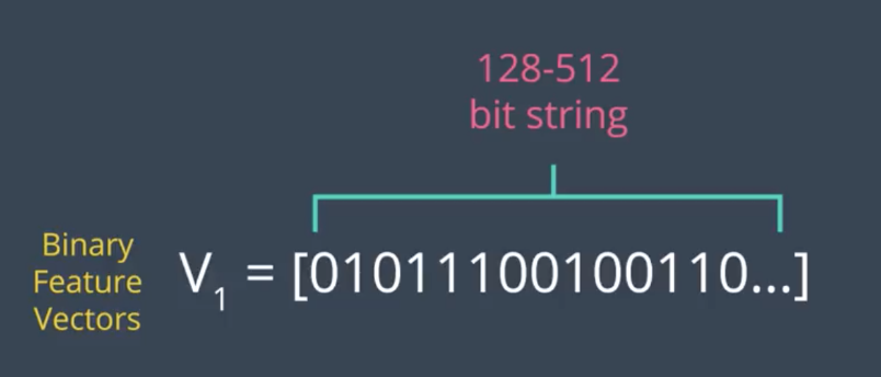 image-20191010161944491