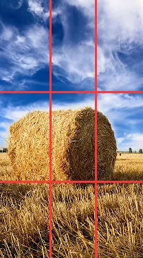 pic1.png