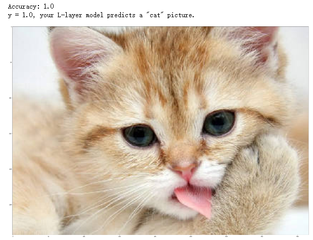 image-20220728114000280