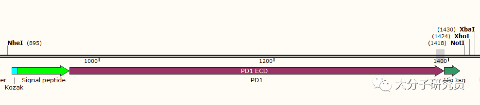 30b8ac3aa9d2352fc1b8ba99ea145673.png