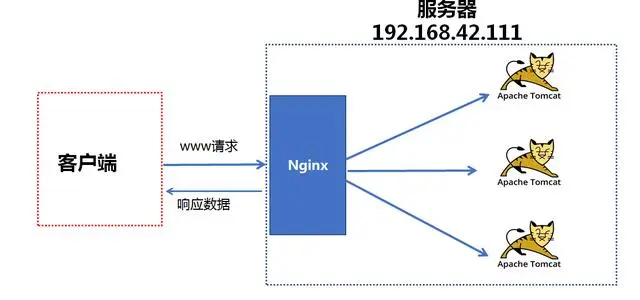13638982-cf49f8a3f4b830c3