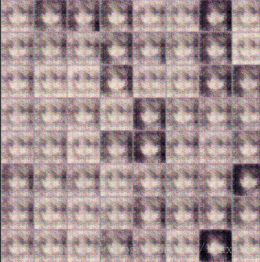 d337fa20fec666ca5cedc91350b51c03.gif