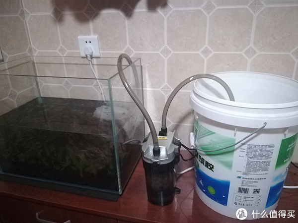 开缸种草篇