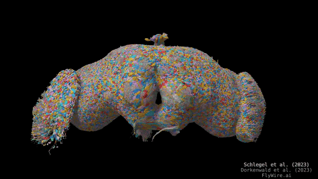 6b7997caec205a190cabd63b6697a87e.gif