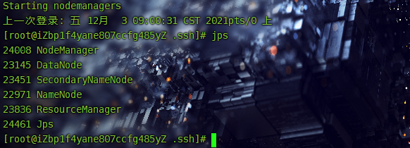 image-20211203114712986