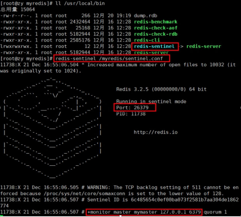image-20211216114654495