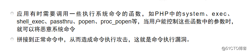 2.4.1 命令执行