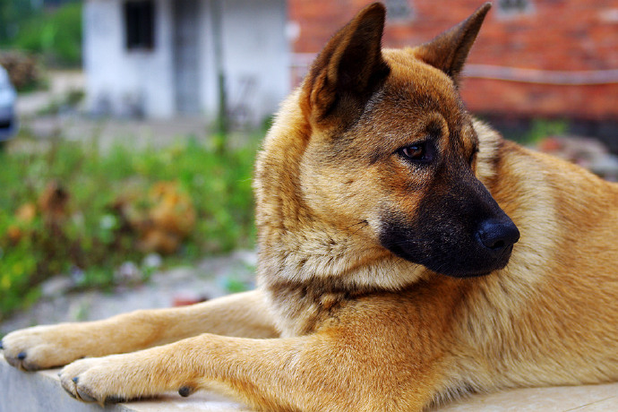 罗浮山自驾小结